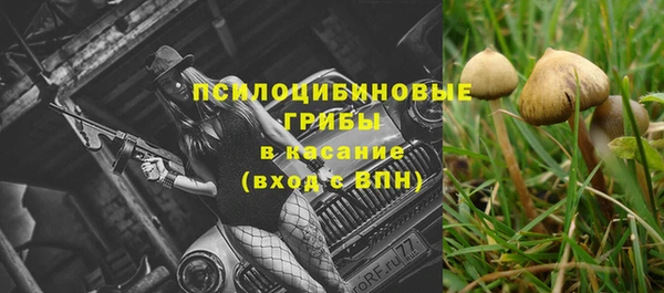 а пвп мука Богородицк