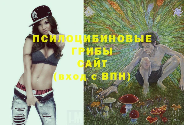 а пвп мука Богородицк