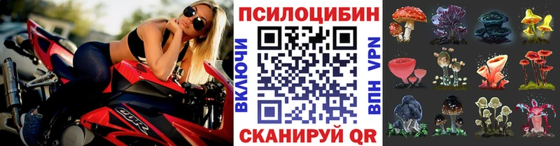 Псилоцибиновые грибы MAGIC MUSHROOMS  наркота  Красновишерск 
